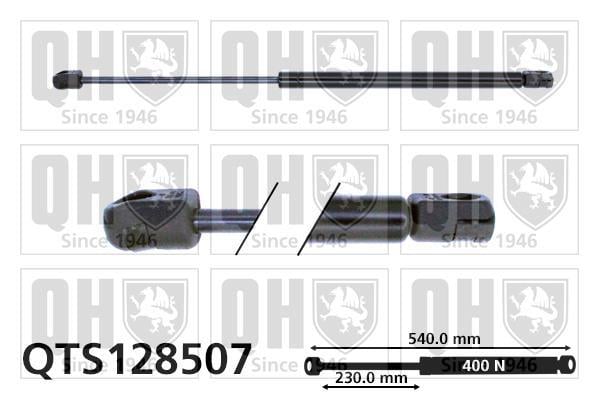 Vérin (Vérin de hayon) QUINTON HAZELL QTS128507
