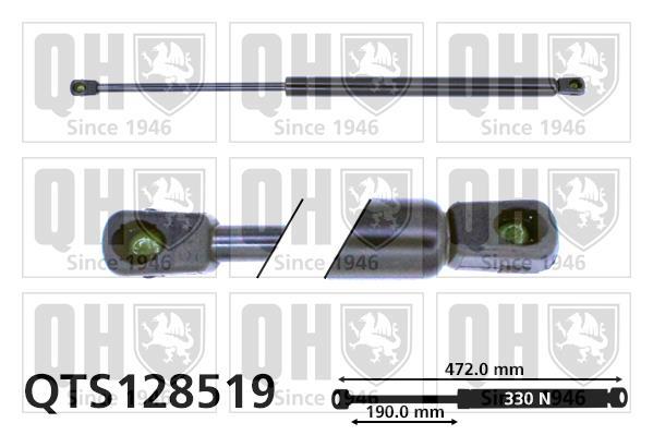 Vérin (Vérin de hayon) QUINTON HAZELL QTS128519