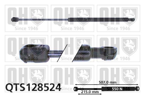 Vérin (Vérin de hayon) QUINTON HAZELL QTS128524
