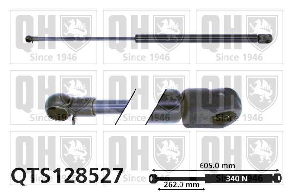 Vérin (Vérin de hayon) QUINTON HAZELL QTS128527