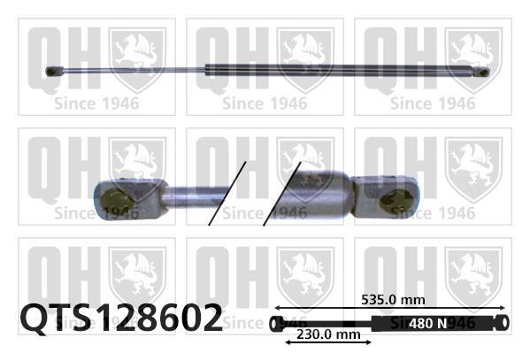 Vérin (Vérin de hayon) QUINTON HAZELL QTS128602