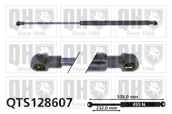 Vérin (Vérin de hayon) QUINTON HAZELL QTS128607