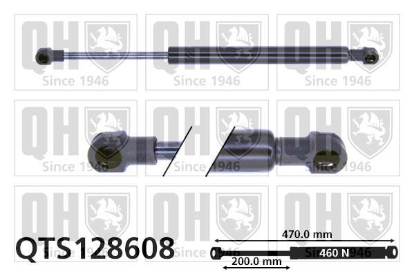 Vérin (Vérin de hayon) QUINTON HAZELL QTS128608