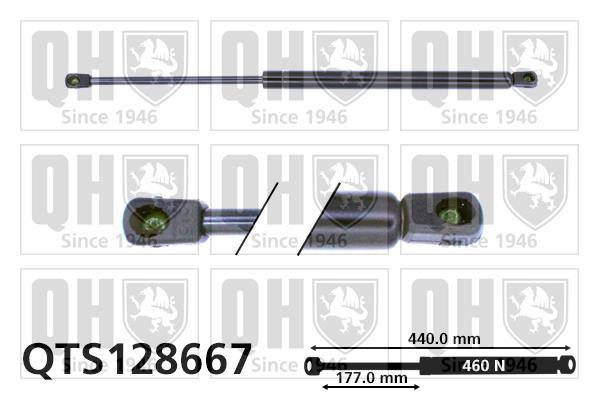 Vérin (Vérin de hayon) QUINTON HAZELL QTS128667