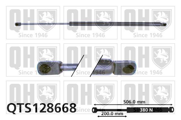 Vérin (Vérin de hayon) QUINTON HAZELL QTS128668