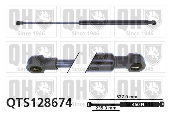 Vérin (Vérin de hayon) QUINTON HAZELL QTS128674