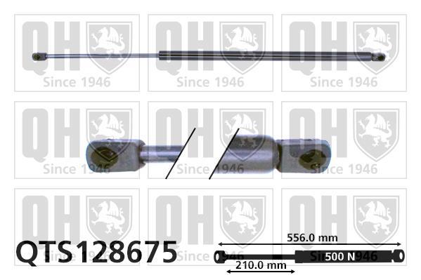 Vérin (Vérin de hayon) QUINTON HAZELL QTS128675
