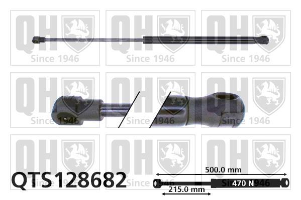 Vérin (Vérin de hayon) QUINTON HAZELL QTS128682