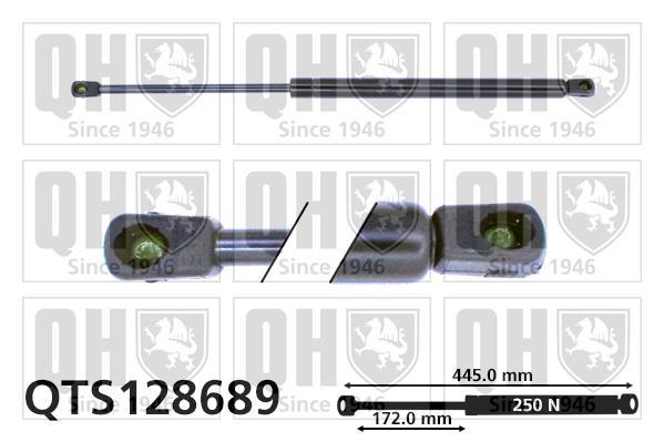Muelle neumático QUINTON HAZELL ref. QTS128689