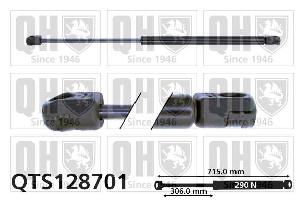 Vérin (Vérin de hayon) QUINTON HAZELL QTS128701