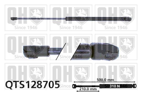 Vérin (Vérin de hayon) QUINTON HAZELL QTS128705