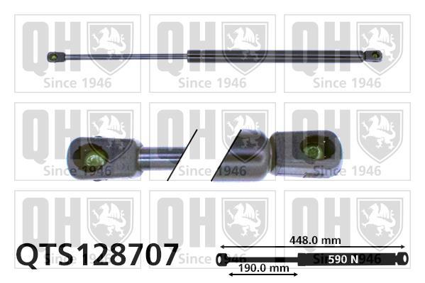 Vérin (Vérin de hayon) QUINTON HAZELL QTS128707