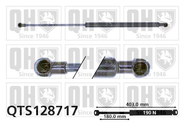 Vérin (Vérin de hayon) QUINTON HAZELL QTS128717