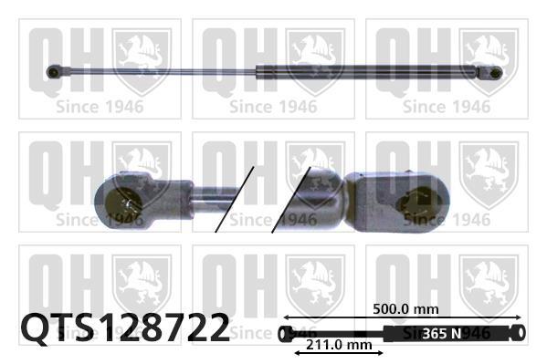 Vérin (Vérin de hayon) QUINTON HAZELL QTS128722