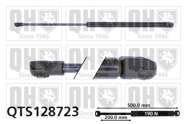 Vérin (Vérin de hayon) QUINTON HAZELL QTS128723