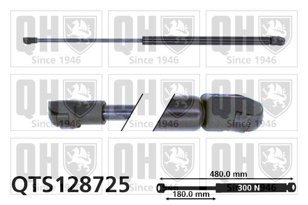 Vérin (Vérin de hayon) QUINTON HAZELL QTS128725