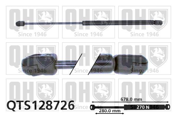 Vérin (Vérin de hayon) QUINTON HAZELL QTS128726