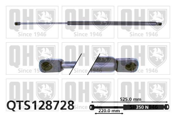 Vérin (Vérin de hayon) QUINTON HAZELL QTS128728