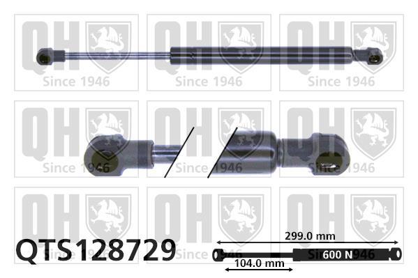 Vérin (Vérin de hayon) QUINTON HAZELL QTS128729