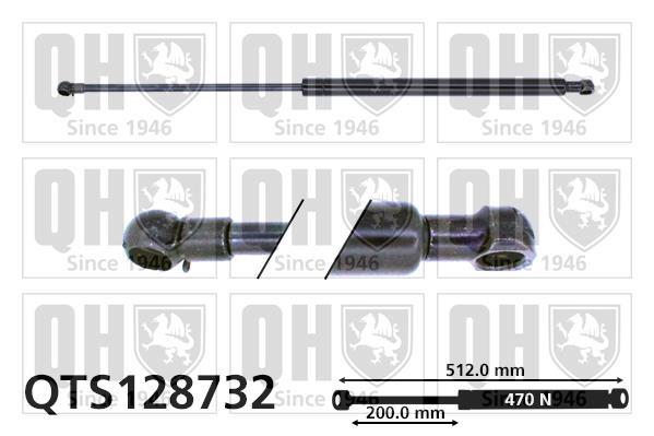 Vérin (Vérin de hayon) QUINTON HAZELL QTS128732