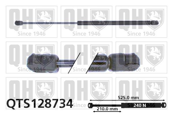 Vérin (Vérin de hayon) QUINTON HAZELL QTS128734