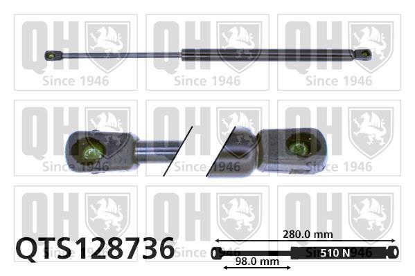 Vérin (Vérin de hayon) QUINTON HAZELL QTS128736