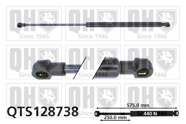 Vérin (Vérin de hayon) QUINTON HAZELL QTS128738