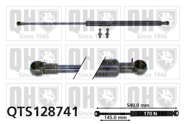 Vérin (Vérin de hayon) QUINTON HAZELL QTS128741
