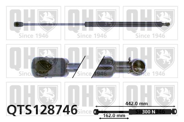 Vérin (Vérin de hayon) QUINTON HAZELL QTS128746