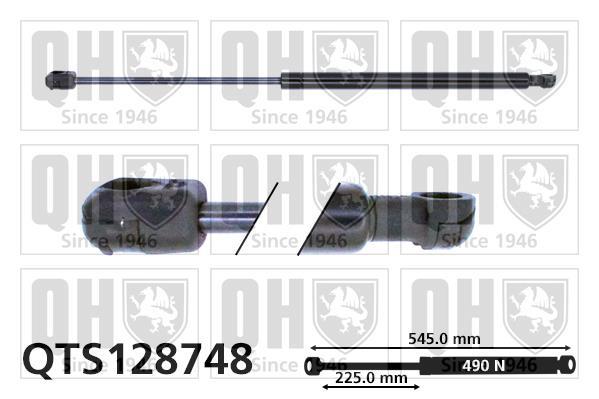 Vérin (Vérin de hayon) QUINTON HAZELL QTS128748
