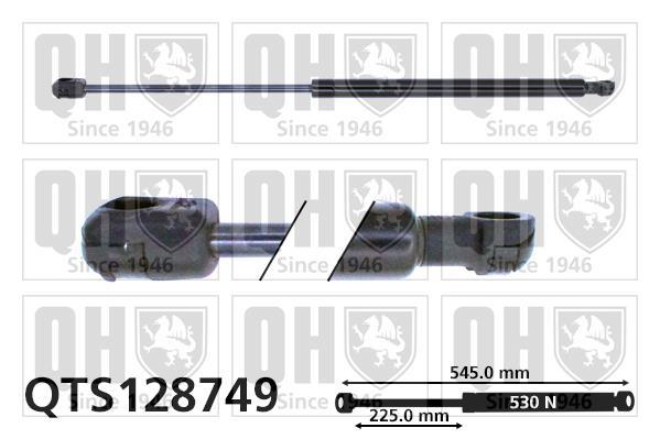Vérin (Vérin de hayon) QUINTON HAZELL QTS128749
