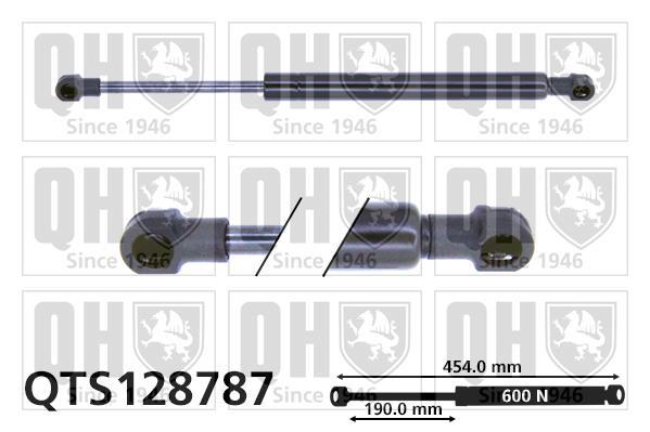 Vérin (Vérin de hayon) QUINTON HAZELL QTS128787