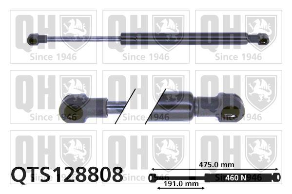 Vérin (Vérin de hayon) QUINTON HAZELL QTS128808