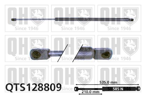 Vérin (Vérin de hayon) QUINTON HAZELL QTS128809