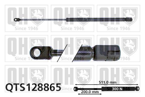 Cilindro QUINTON HAZELL QTS128865