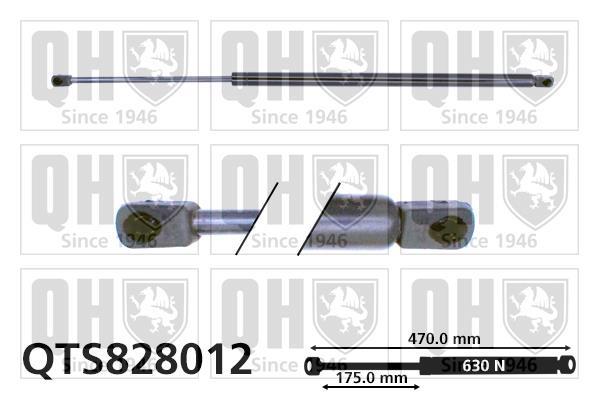 Vérin (Vérin de hayon) QUINTON HAZELL ref. QTS828012