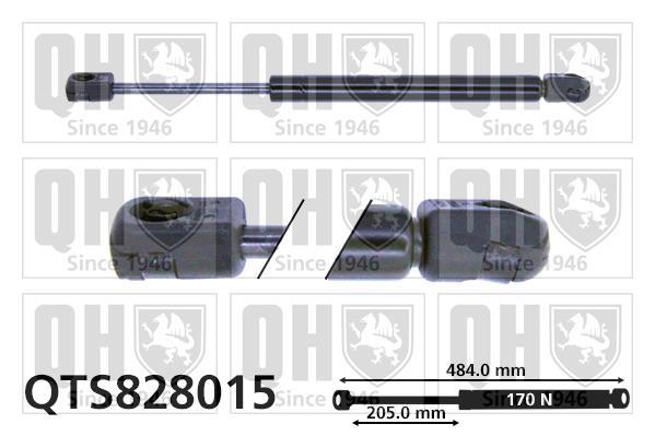 Muelle neumático QUINTON HAZELL ref. QTS828015