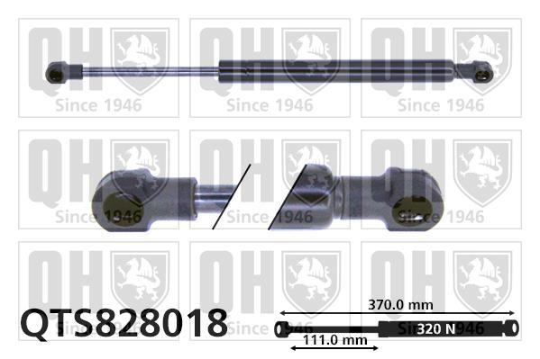 Vérin (Vérin de hayon) QUINTON HAZELL ref. QTS828018