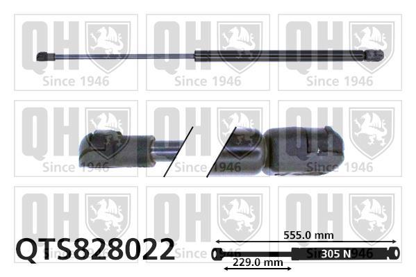 Vérin (Vérin de hayon) QUINTON HAZELL QTS828022