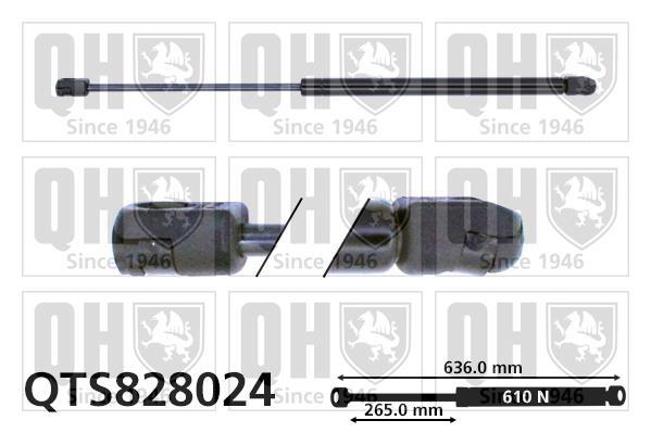 Vérin (Vérin de hayon) QUINTON HAZELL QTS828024