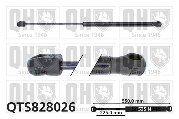 Vérin (Vérin de hayon) QUINTON HAZELL QTS828026
