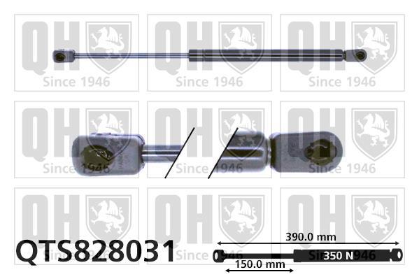 Vérin (Vérin de hayon) QUINTON HAZELL ref. QTS828031