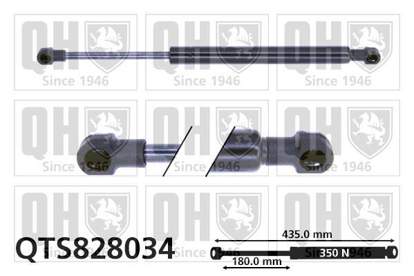 Vérin (Vérin de hayon) QUINTON HAZELL QTS828034