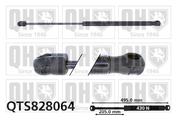 Vérin (Vérin de hayon) QUINTON HAZELL QTS828064