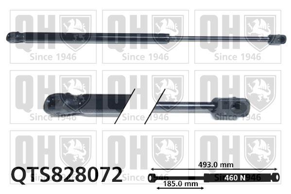 Vérin (Vérin de hayon) QUINTON HAZELL ref. QTS828072