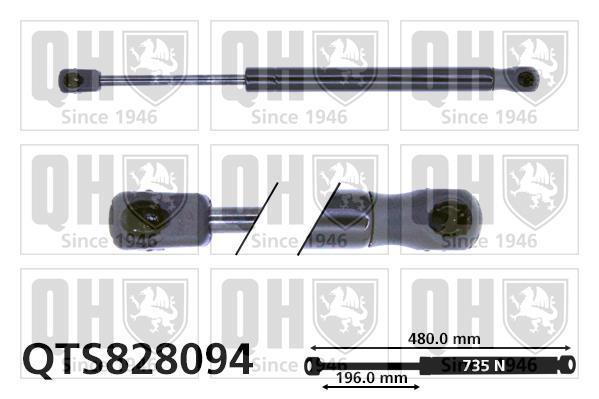 Vérin (Vérin de hayon) QUINTON HAZELL QTS828094