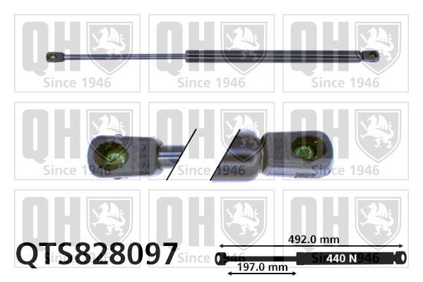 Vérin (Vérin de hayon) QUINTON HAZELL QTS828097