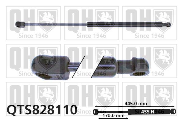 Cilindro QUINTON HAZELL QTS828110