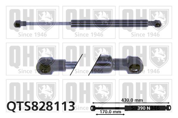 Cilindro QUINTON HAZELL ref. QTS828113
