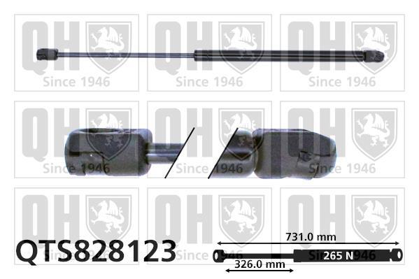 Vérin (Vérin de hayon) QUINTON HAZELL ref. QTS828123